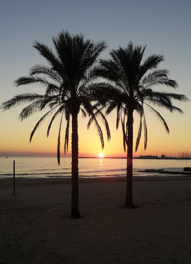 Acacia Marina Hotel Marina di Ragusa Kültér fotó